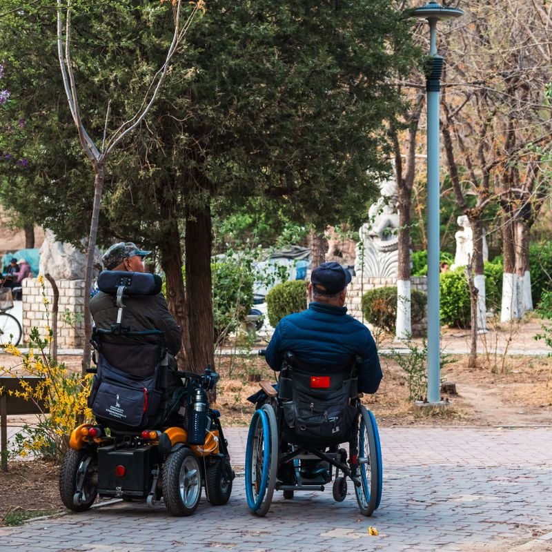 Two wheelchair users out together on a tree-lined path